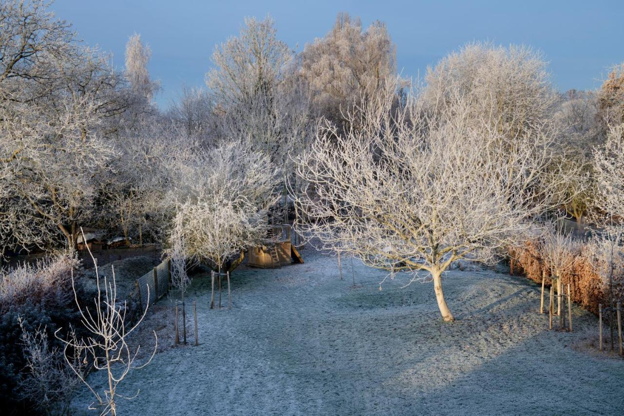 Nuit Blanche Bed and Breakfast Oud-Heverlee Exteriör bild